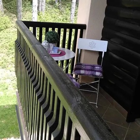 Bubica Apartment Zlatibor
